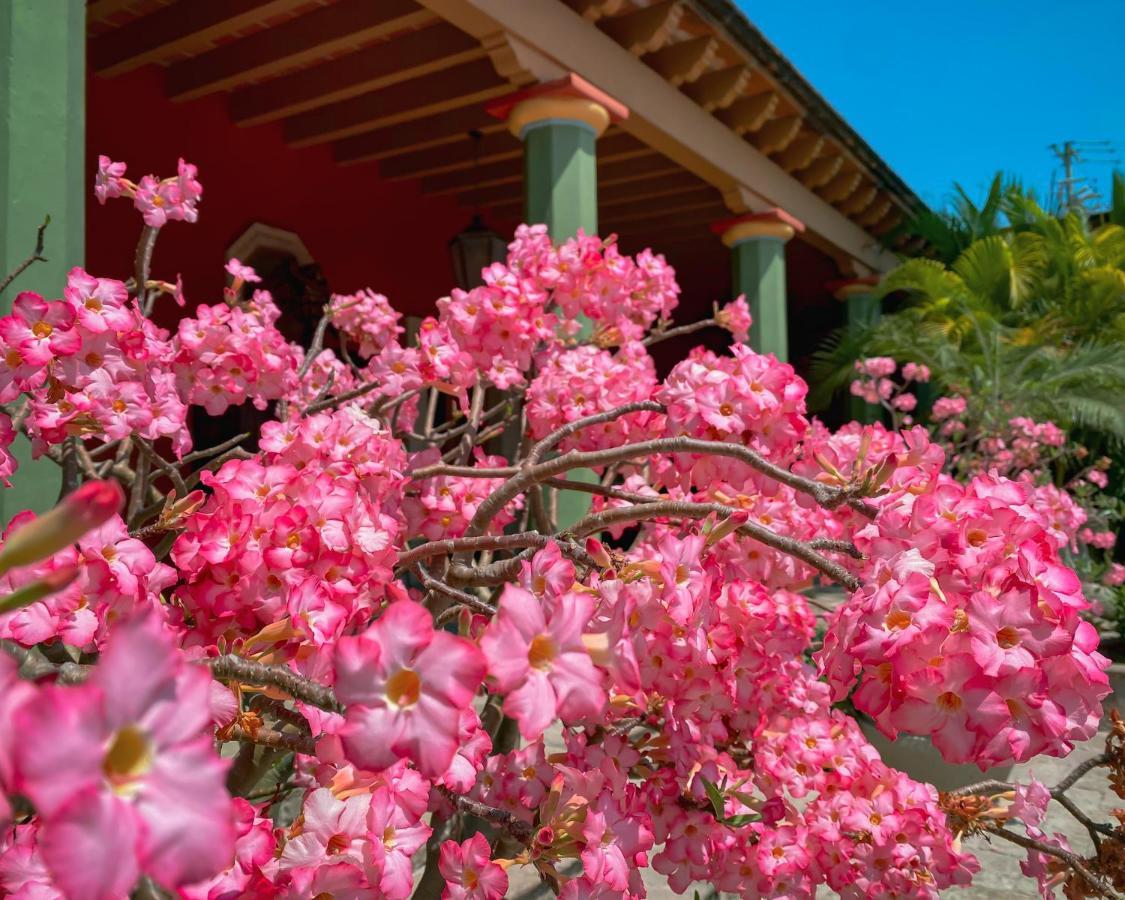 Hacienda De Los Santos Álamos Exteriör bild